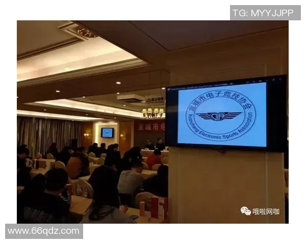 电竞行业发展中的宪法挑战与机遇探讨