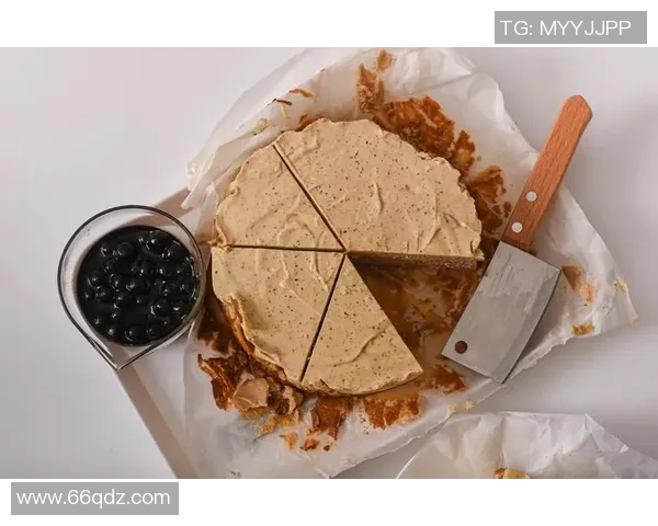 世界奶酪大赛的魅力与发酵风味的完美交融探秘